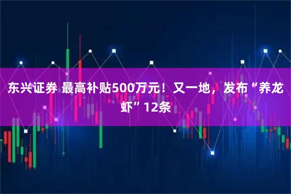 东兴证券 最高补贴500万元！又一地，发布“养龙虾”12条