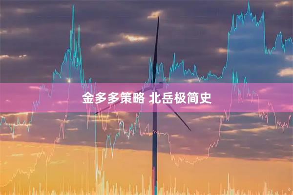 金多多策略 北岳极简史