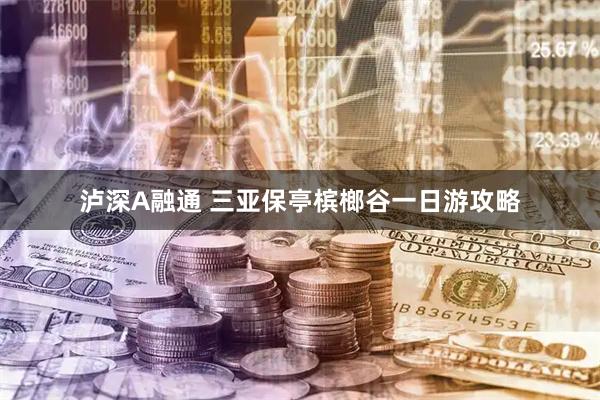 泸深A融通 三亚保亭槟榔谷一日游攻略