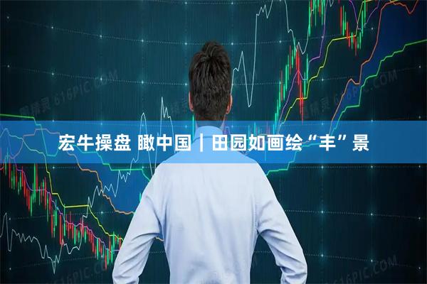 宏牛操盘 瞰中国｜田园如画绘“丰”景
